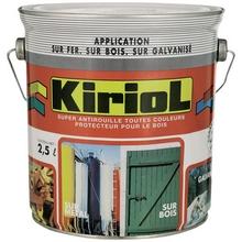 Paint finish color antioxidant KIRIOL